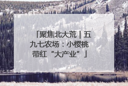 聚焦北大荒｜五九七农场：小樱桃带红“大产业”
