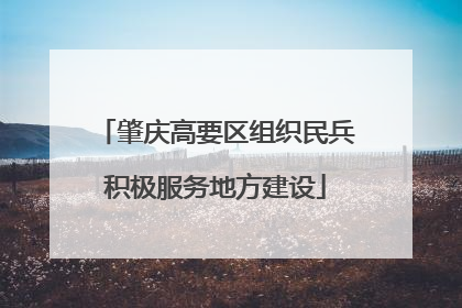 肇庆高要区组织民兵积极服务地方建设