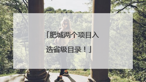 肥城两个项目入选省级目录！