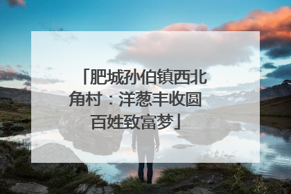 肥城孙伯镇西北角村：洋葱丰收圆百姓致富梦