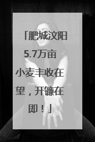 肥城汶阳5.7万亩小麦丰收在望，开镰在即！