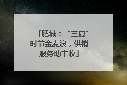 肥城：“三夏”时节金麦浪，供销服务助丰收