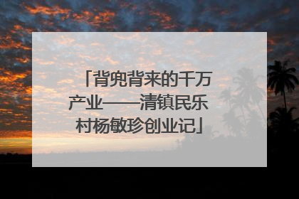 背兜背来的千万产业——清镇民乐村杨敏珍创业记
