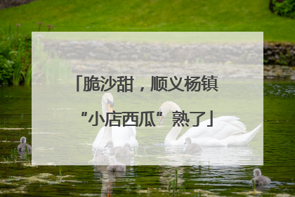 脆沙甜，顺义杨镇“小店西瓜”熟了