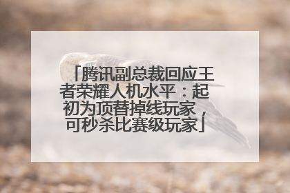 腾讯副总裁回应王者荣耀人机水平：起初为顶替掉线玩家，可秒杀比赛级玩家