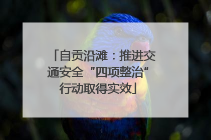 自贡沿滩：推进交通安全“四项整治”行动取得实效