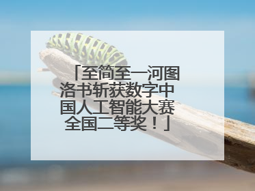 至简至一河图洛书斩获数字中国人工智能大赛全国二等奖！