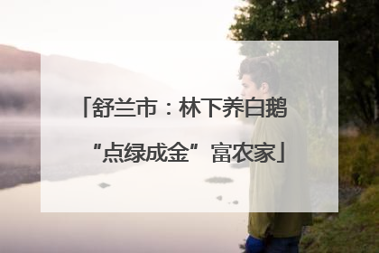 舒兰市：林下养白鹅 “点绿成金”富农家