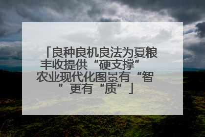 良种良机良法为夏粮丰收提供“硬支撑” 农业现代化图景有“智”更有“质”