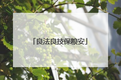 良法良技保粮安
