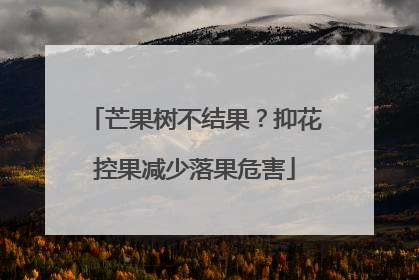 芒果树不结果？抑花控果减少落果危害