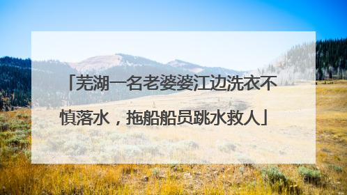 芜湖一名老婆婆江边洗衣不慎落水，拖船船员跳水救人