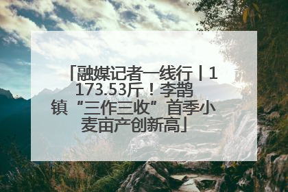 融媒记者一线行丨1173.53斤！李鹊镇“三作三收”首季小麦亩产创新高