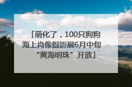 萌化了，100只狗狗海上肖像摄影展6月中旬“黄海明珠”开放