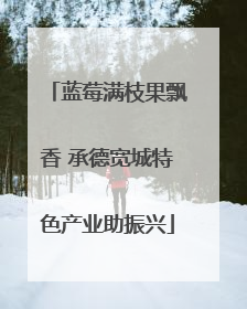 蓝莓满枝果飘香 承德宽城特色产业助振兴