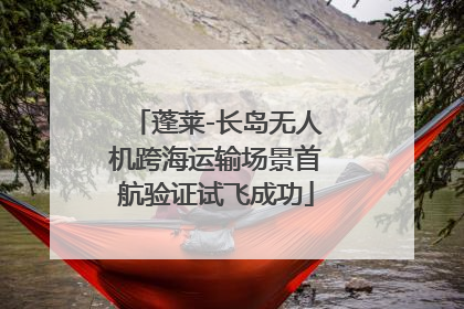 蓬莱-长岛无人机跨海运输场景首航验证试飞成功