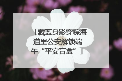 藏蓝身影穿粽海 道里公安解锁端午“平安盲盒”