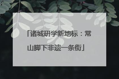 诸城研学新地标：常山脚下非遗一条街