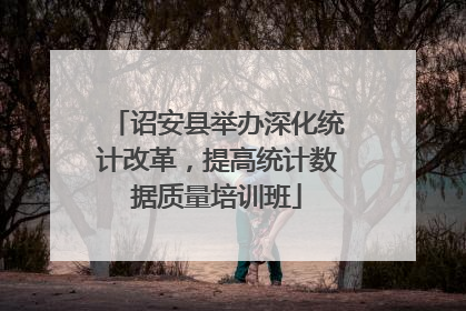 诏安县举办深化统计改革，提高统计数据质量培训班