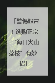 警惕假冒！选购正宗“海口火山荔枝”有妙招