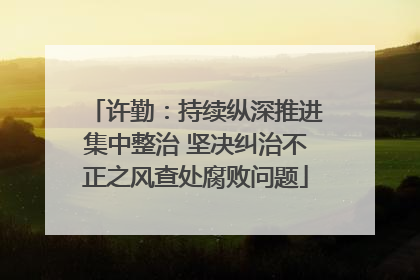 许勤：持续纵深推进集中整治 坚决纠治不正之风查处腐败问题