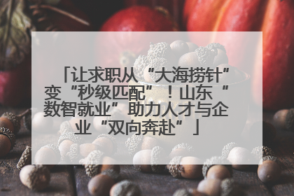 让求职从“大海捞针”变“秒级匹配”！山东“数智就业”助力人才与企业“双向奔赴”