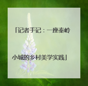 记者手记：一座秦岭小城的乡村美学实践