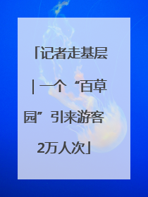 记者走基层｜一个“百草园”引来游客2万人次