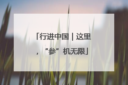 行进中国｜这里，“参”机无限