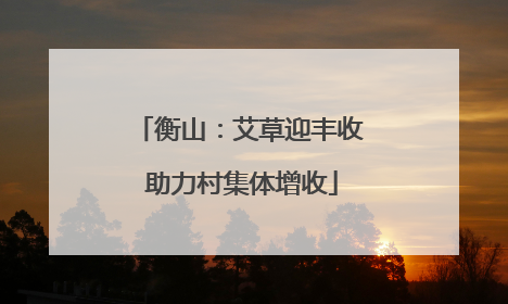 衡山：艾草迎丰收 助力村集体增收