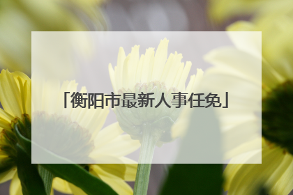 衡阳市最新人事任免