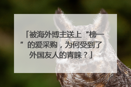 被海外博主送上“榜一”的爱采购，为何受到了外国友人的青睐？