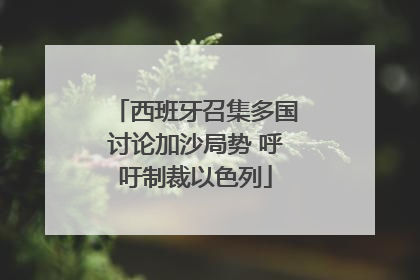西班牙召集多国讨论加沙局势 呼吁制裁以色列