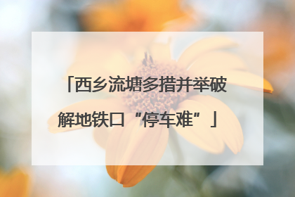 西乡流塘多措并举破解地铁口“停车难”