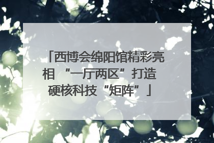 西博会绵阳馆精彩亮相 “一厅两区”打造硬核科技“矩阵”