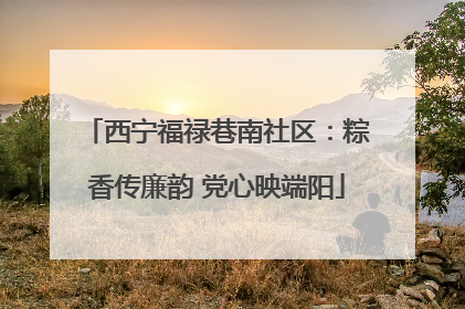西宁福禄巷南社区：粽香传廉韵 党心映端阳