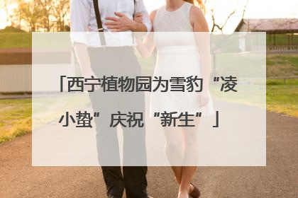 西宁植物园为雪豹“凌小蛰”庆祝“新生”