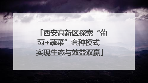 西安高新区探索“葡萄+蔬菜”套种模式 实现生态与效益双赢