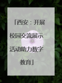 西安：开展校园交流展示活动助力数字教育