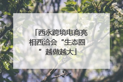 西永跨境电商亮相西洽会“生态圈”越做越大