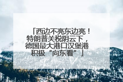 西边不亮东边亮！特朗普关税阴云下，德国最大港口汉堡港积极“向东看”