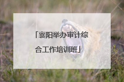 襄阳举办审计综合工作培训班