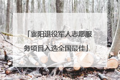 襄阳退役军人志愿服务项目入选全国最佳