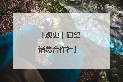 观史｜回望诸葛合作社