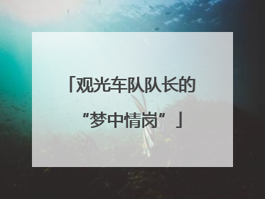 观光车队队长的“梦中情岗”