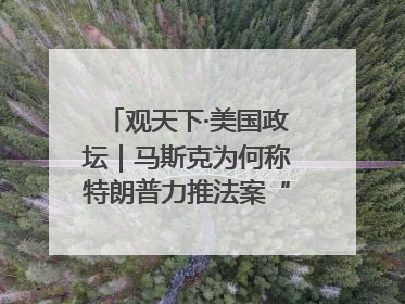 观天下·美国政坛|马斯克为何称特朗普力推法案“令人作呕”
