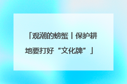 观潮的螃蟹丨保护耕地要打好“文化牌”