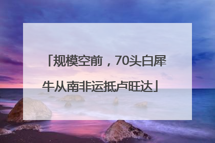 规模空前，70头白犀牛从南非运抵卢旺达