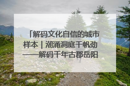 解码文化自信的城市样本｜潮涌洞庭千帆劲——解码千年古郡岳阳的文化自信样本