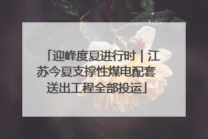 迎峰度夏进行时｜江苏今夏支撑性煤电配套送出工程全部投运